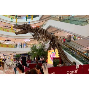 Weather Resistant Simulation Dinosaur Fossil Model For Museum Exhibition