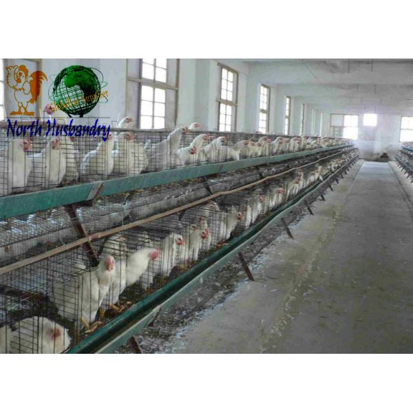 Quality Cooling Pad Machin For Poultry House,Buy Quality wholesale