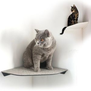 Wall Mount Pre Drill Cat Shelves Single-Side Bracket Wall Furniture with Felt Mat