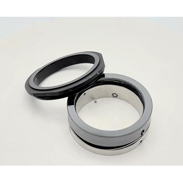 Wave Spring Mechanical Seal Suit for Hilge Pumps Replacement AES W04 1688Y