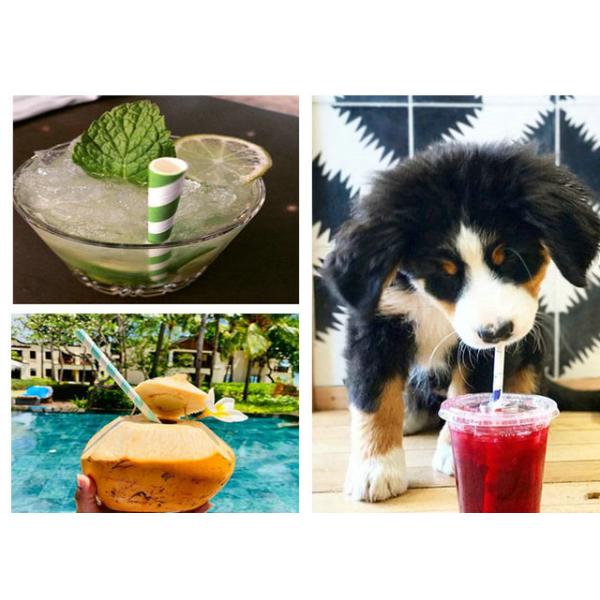 straw paper FSC FDA Certificate Colorful Degradable Straw Paper For Drinking Coconut Juice