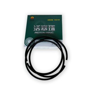 Standard Component Shengdong 600kw Natural Gas Generator Parts Engine Model