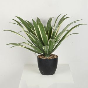 36 CM 40 CM 60 CM Artificial Agave Americana