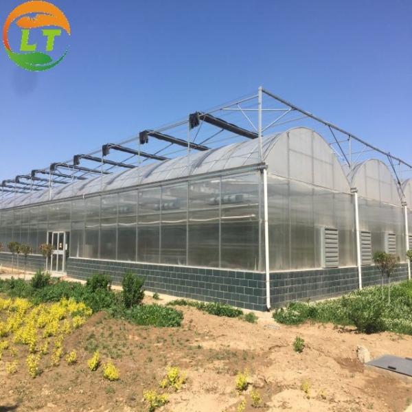 Quality Multi Span Agriculture Greenhouse Height 3m Customized Length 50m wholesale