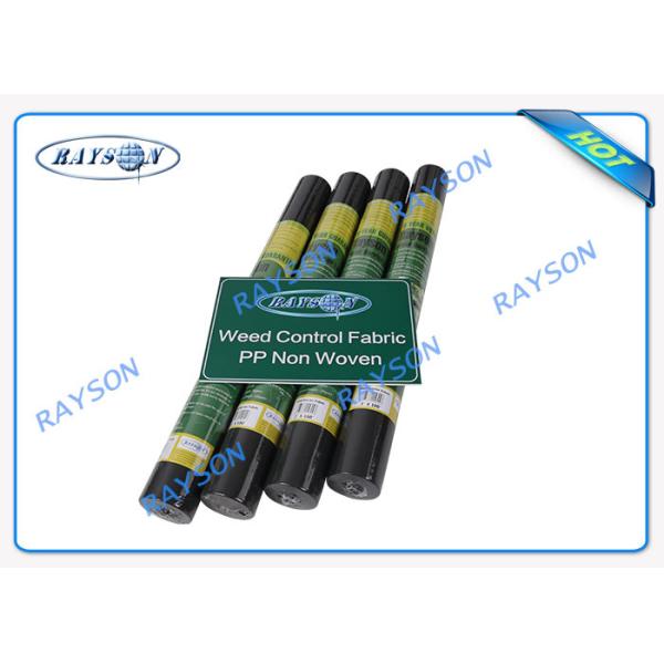 Quality Water Permeable Agriculture Non Woven Cover 70gsm With UV Treated wholesale