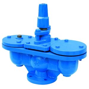 Q10 Original Cast Iron Plastic Spraying SS304 Air Vent Valve
