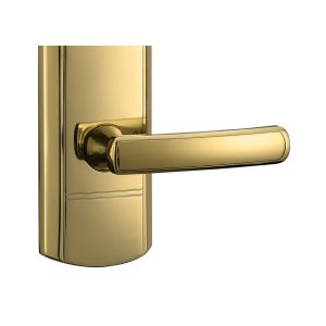 PVD gold Electronic Door Lock Unlocked by Password or Emid Card