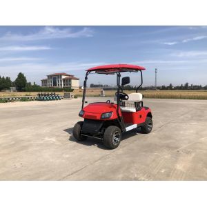 New Designed 2 Seater Golf Cart On Board Charging Origin Type CE Approved