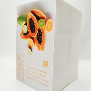 Fruit Packaging Mailing Ecommerce Delivery Boxes 15 Times Reusable