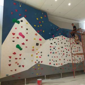 Cheap 15cm Indoor Climbing Wall With Various Shapes And Optional Lighting for sale