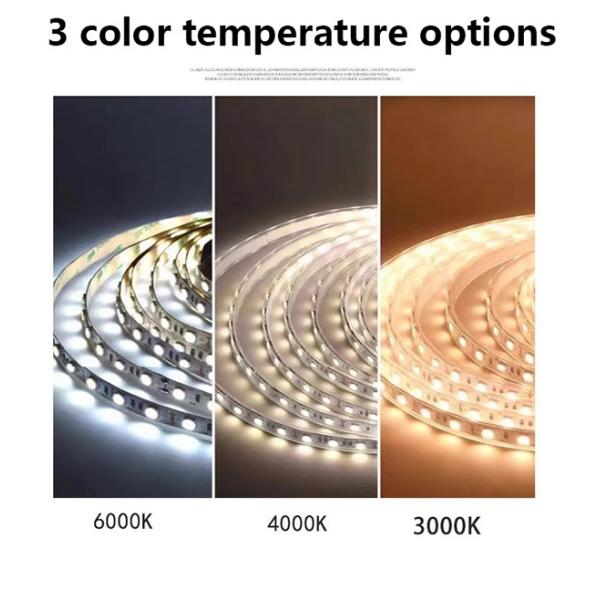 50000 Hours Service Life Led Light Strip Suitable For Indoor Lighting/Decoration/Hidden Light Dc 24v