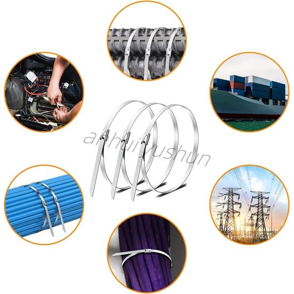 100mm SS316 Bundle Stainless Cable Tie Buckle Type