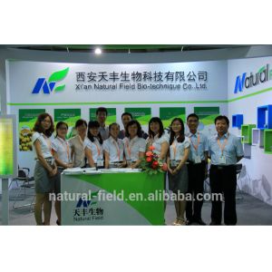 Best supplying wolfberry p.e