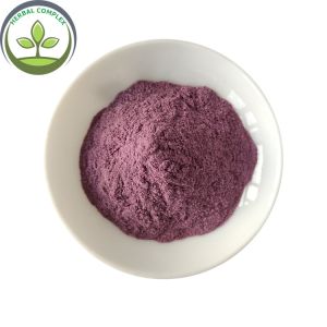 China Instant Powder Drink Blackberry Extract Powder With Best Price on sale
