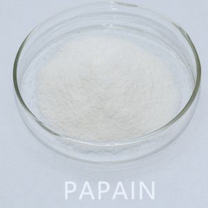 Enzyme Papain 50TU/MG-1000TU/MG Providing Enzyme Preparation Sample Minimum