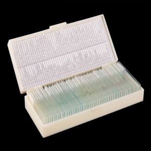 Small 50pcs School Education 22x22mm Label Microbiology Prepared Slides