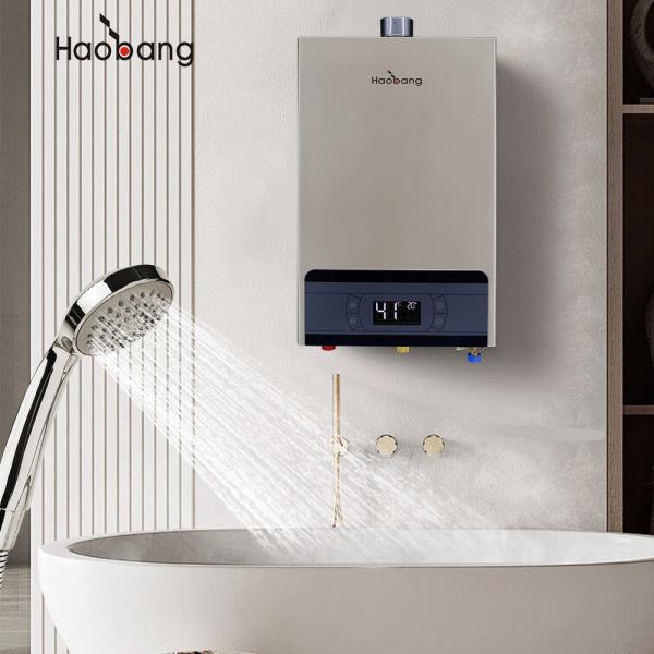 Quality Saving-Energy Features In Direct Vent Gas Water Heater With Forced Exhaust wholesale