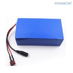 24volt 10ah Electric Bicycle Lithium Battery With Charger CE Approved