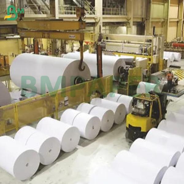 270g+ 15g 1S PE White Lunch Paper Board For Take Away Boxes Food Grade 900mm