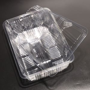 Customizable Clear PET Food Grade Plastic Tray