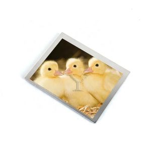 Display Screen LCD Panel 640*480 resolution 6.4 Inch T-51382D064-FW-P-AB LCD