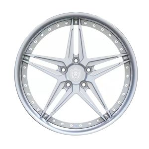 19-inch two-piece custom forged alloy wheels with deep concave type and brushed