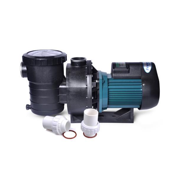 220v 60hz Single Phase Water Pump , Three Phase Pool Pump With Speed Control