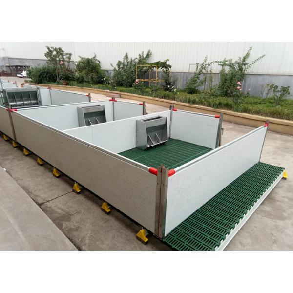 Customized Size Pig Farm Equipment Farrowing Crate For Sow / Piglet High