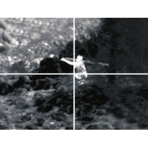 Various FOV lens ,cooled HgCdTe FPA Thermal Imaging Module For Thermal Security