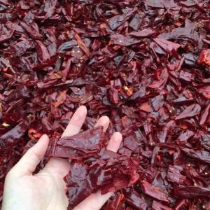 High Polished Pungent Red Chilli Cut With 8% Moisture