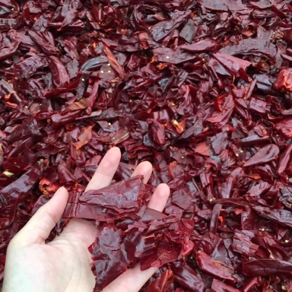 Quality Xinglong Dried Chilli Seeds 15000SHU Spicy Delicious Nutritious wholesale