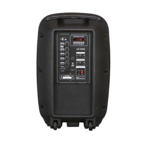 Portable Bluetooth Speaker with 12" Plastic Subwoofer and Microphone