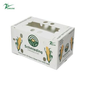 China Corruone Waterproof Folding Polypropylene  Corrugated Plastic Fruits Vegetables Asparagus/Ginger/Taro/Okra Packing box on sale