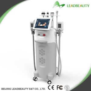 China Multifunctional Fat freezing slimming machine for face and body on sale