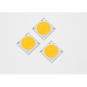 30W 36V Residential Commercial Chip Led Cob RA90 High Quality Illumination