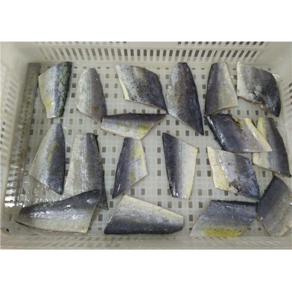 Quality Steak Mahi Mahi Fish Fresh wholesale