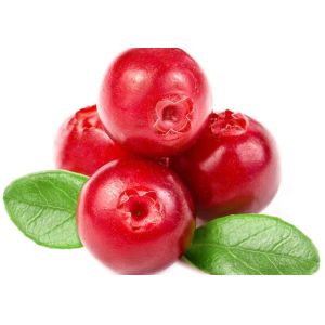 high quality cranberry fruit powder sample free for making juice