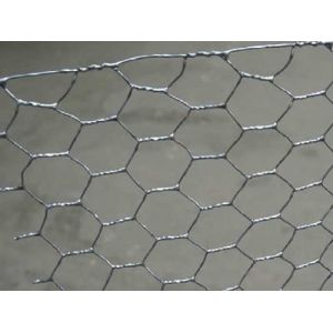 38kg/M2 Galvanized Pvc Coated Chicken Wire Mesh