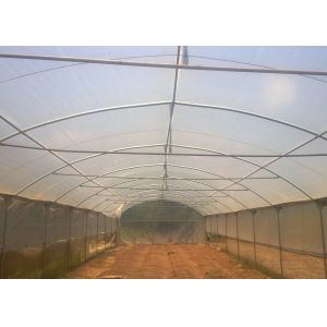 8m Wide Single Span Greenhouse with Galvanized Gutter 10-60m Length