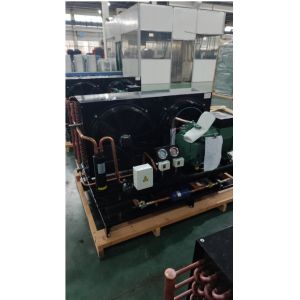 Customized Refrigeration Cold Room Condensing Unit Piston Compressor