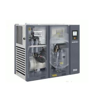 Nitrogen generating system plant include air compressor air compressed