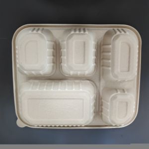 Wholesale 5 Compartments Environmentally Friendly Rice Husk Starch Based