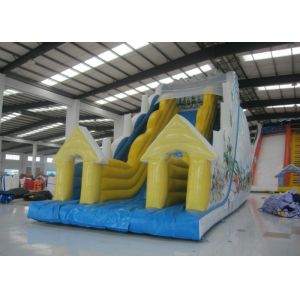 Big Inflatable Water Slides