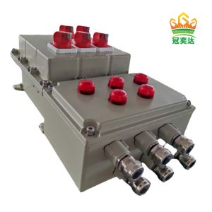 Flameproof IP66 Ex Db Eb IIC T6 Gb Ex Tb IIIC T80.C Db Wall Mount Aluminum