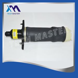 Rear Left Air Suspension Springs 4Z7616051A For Audi A6 Rear Allroad Quattro