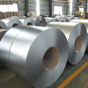 Mill Edge Galvanized Steel Gi Coils Dx52D Dx53D Dx54D Zero Spangle 1800mm