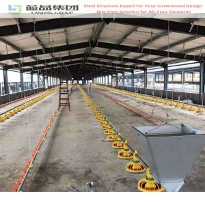 Hot Sale Prefabricated Light Structure Structure Prefab Poultry House Design