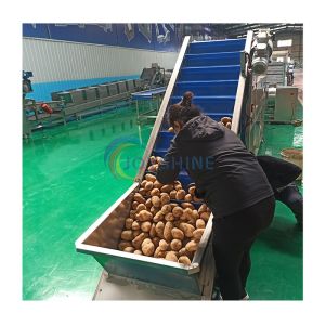 Potato Production Line For Dairy Products Fully Automatic Finger Chips Making