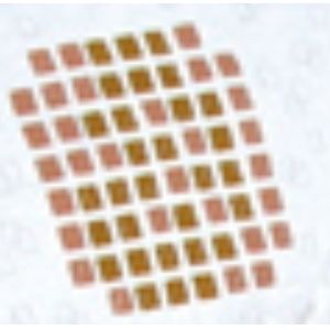 Cotton Frame Quilt Bedding Sets , Geometric Pattern Bedspreads And Comforters