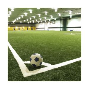 Cheap china wall carpet landscape mat football turf garden carpet grass